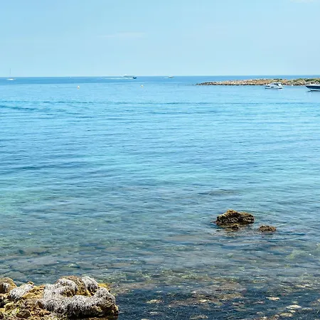 Cap D'antibes, Garoupe Daire *